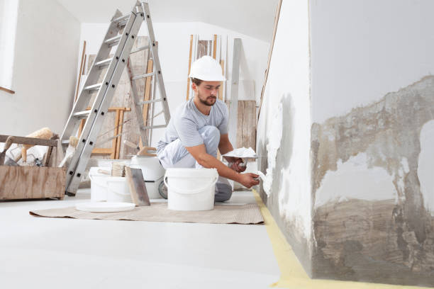 Best Drywall Crack Repair  in Rosebud, SD